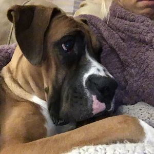 Meet your Posher, Annette